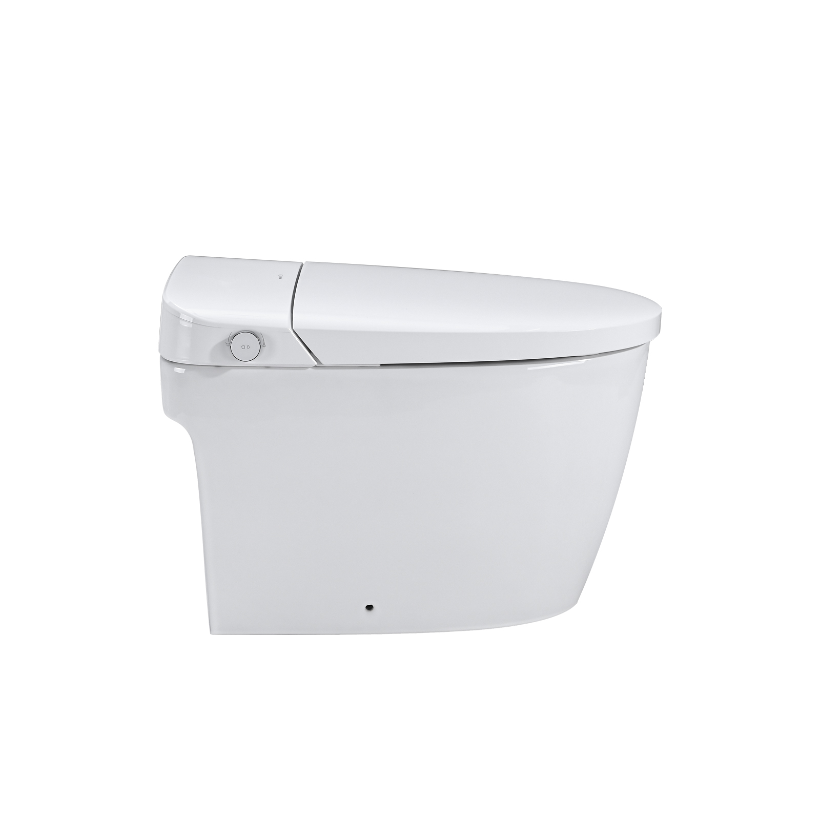 Smart Ceramic Bidet Toilet with Warm Air Dryer & Water Wash