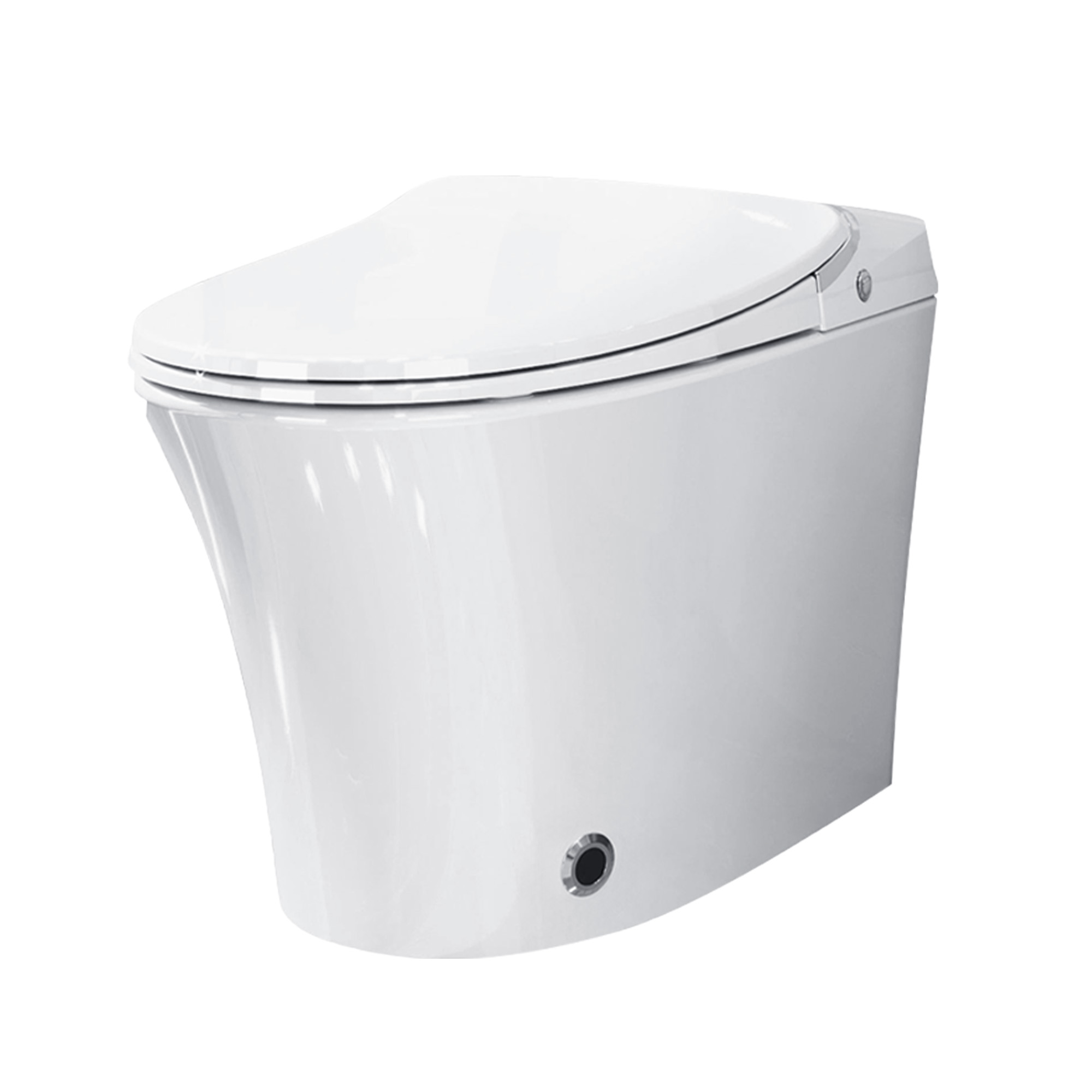 Elongated Smart Bidet Toilet with Heated Seat, Dryer and Warm Water