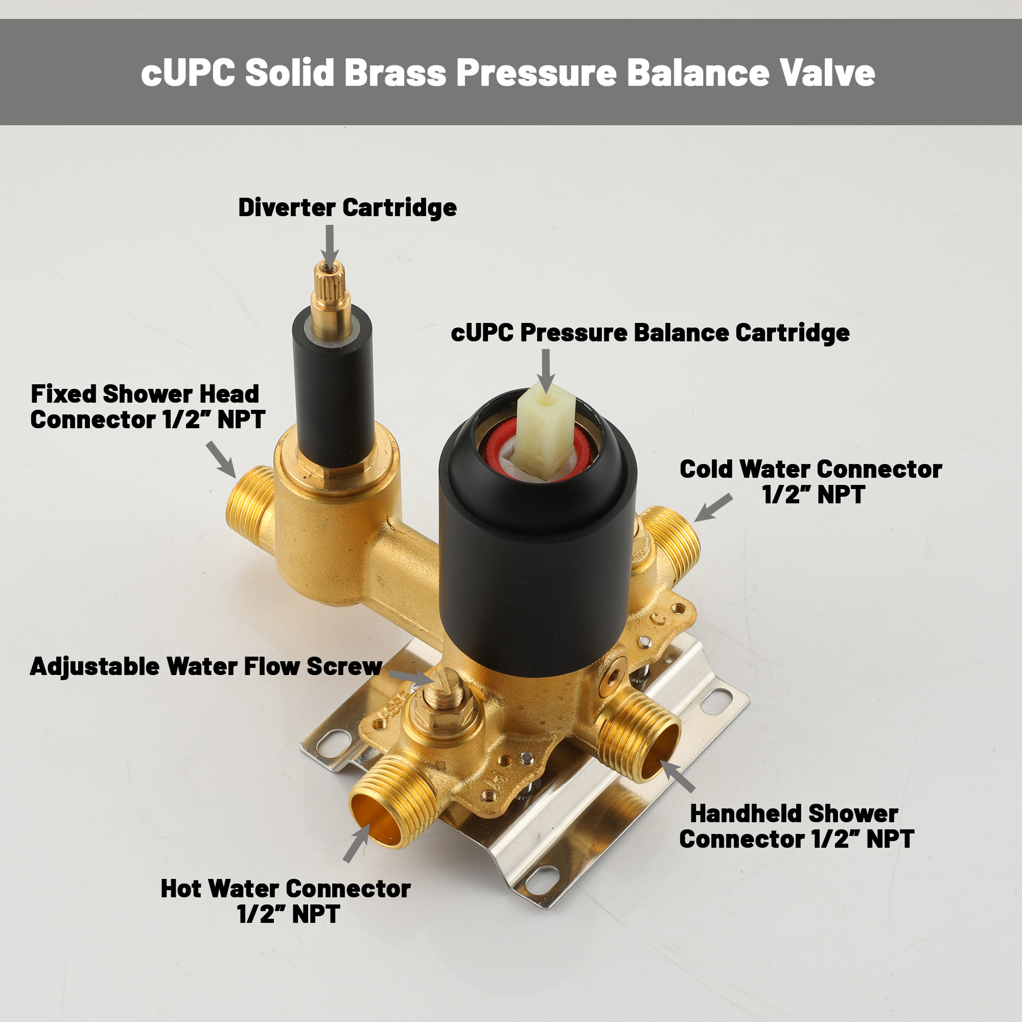 10-inch 2-Function Wall-Mounted Rain Shower System with Hand Shower