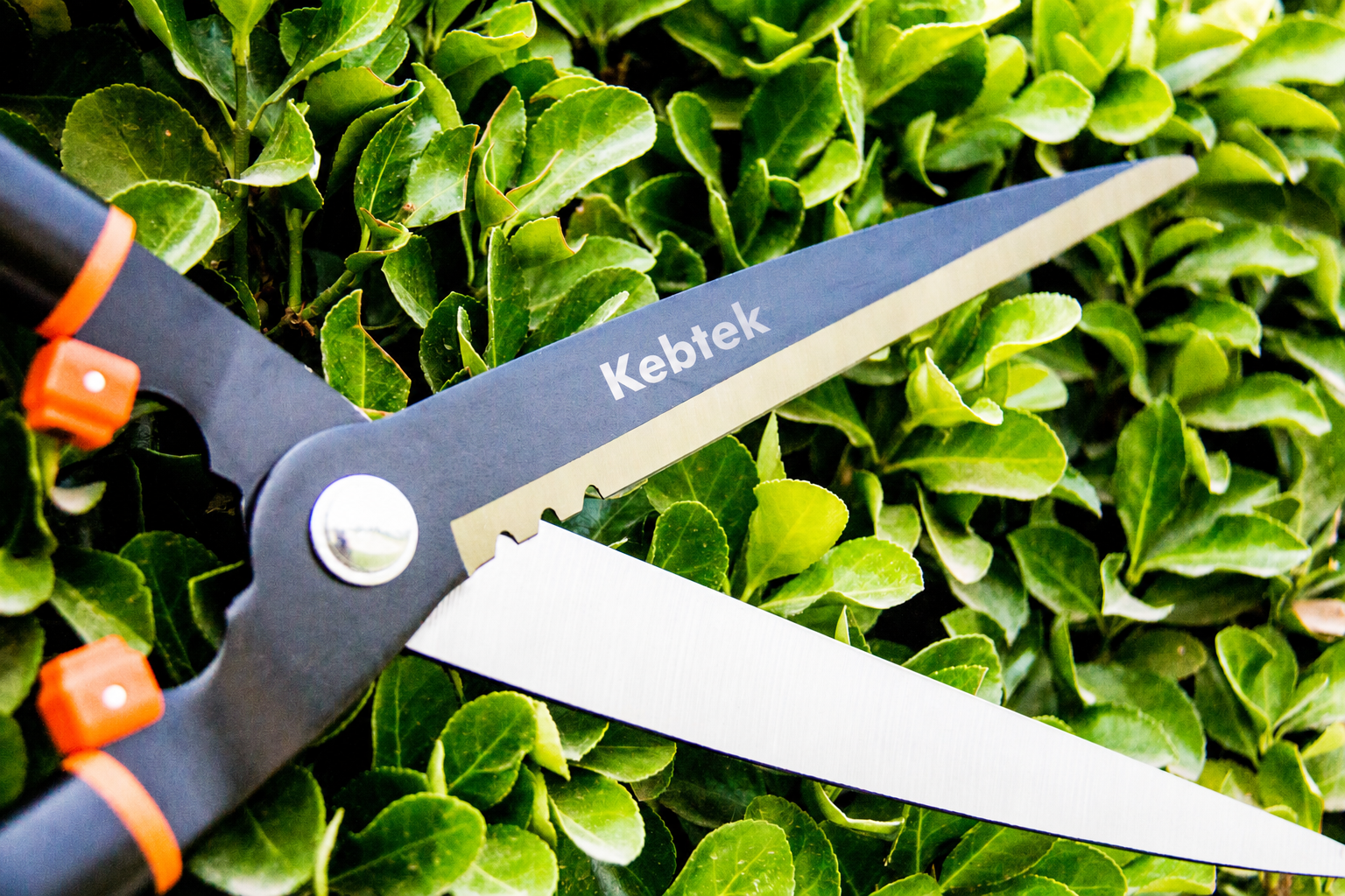 Kebtek Professional Hedge Shears, 24 Inch/ 600MM  Long Handle Garden Pruning Shears - KT2230