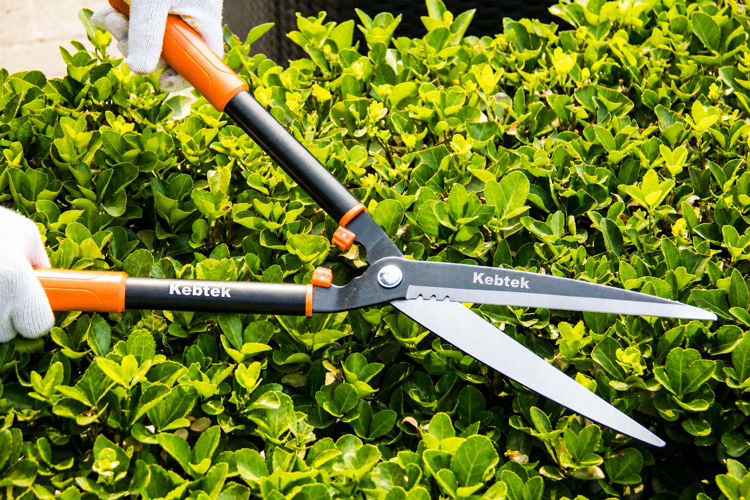 Kebtek Professional Hedge Shears, 24 Inch/ 600MM  Long Handle Garden Pruning Shears - KT2230