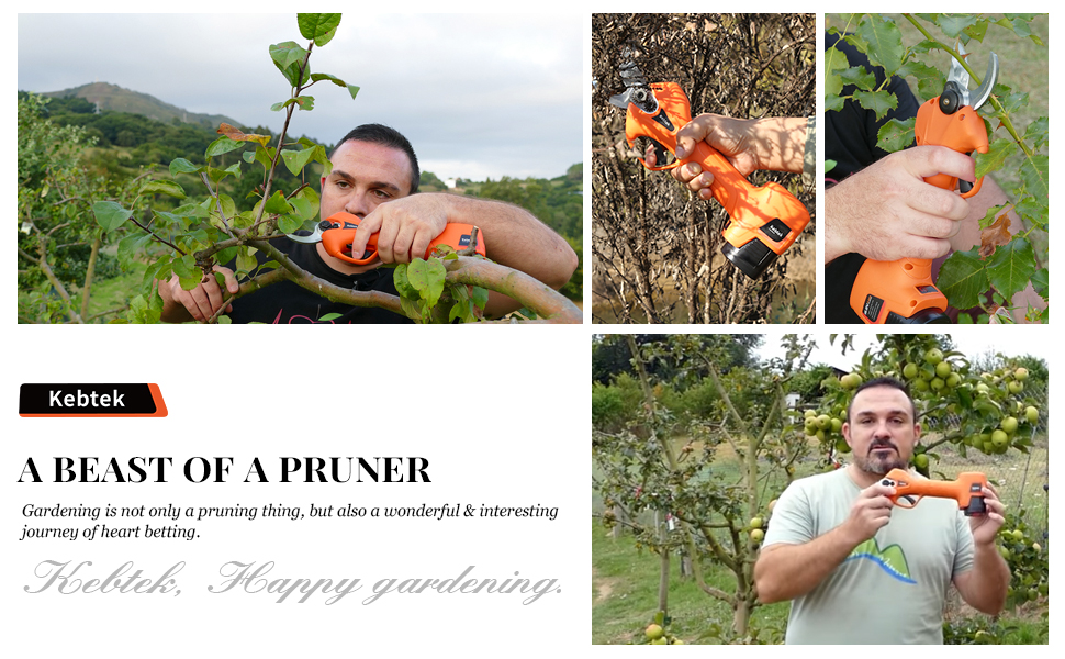 Electirc Pruning Shear