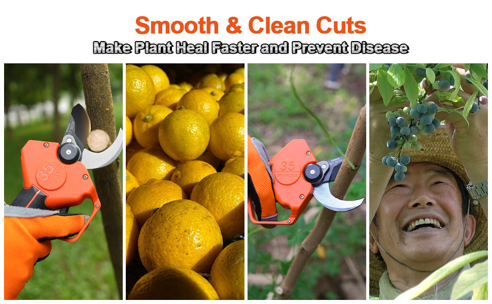 kebtek pruning shears