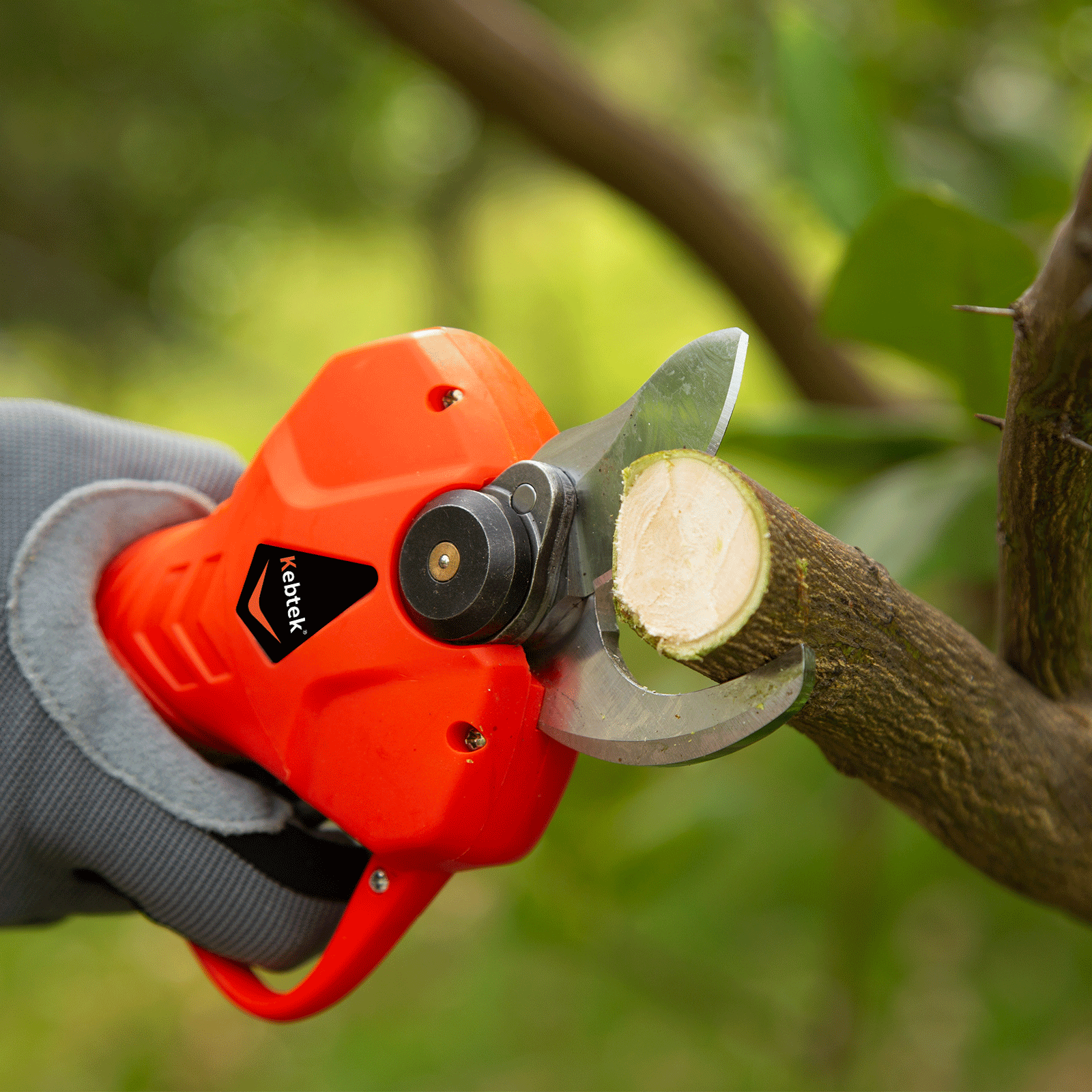 Kebtek Blade Compatible with B05532 32MM Electric Pruning Shears (1.26 Inch) Cutting Diameter