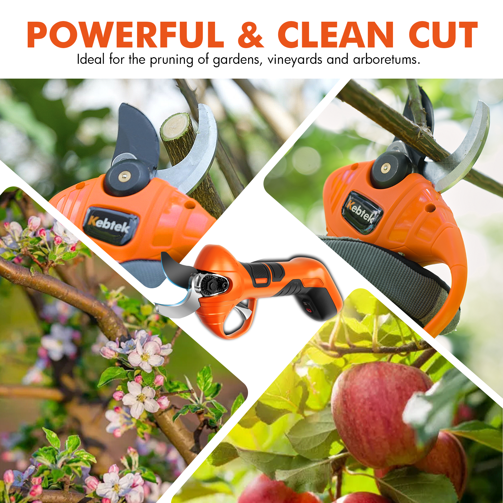 Electric Pruning Shears, Cordless Electric Pruner Battery Powered 7.2V, Tree Branch Pruner with 4AH Lithium Battery - 22mm (YD-6622)