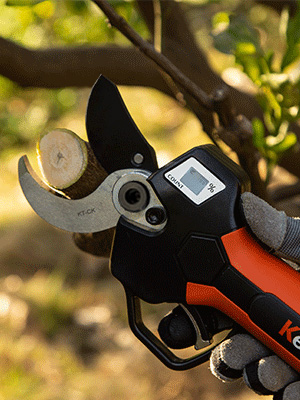 Electric Pruning Shears