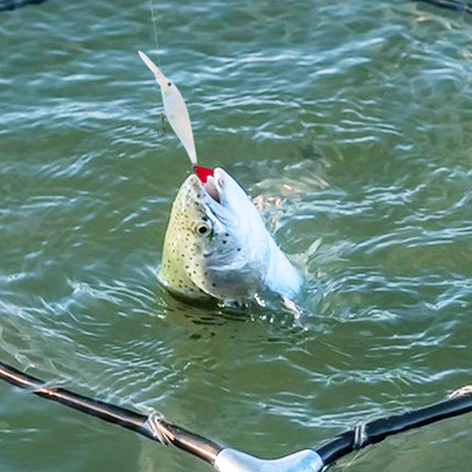 FREE FISHER Unpainted Lures Kit with Hooks,Mixed Minnows Crankbaits,DIY Fishing Blank Baits,Freshwater/Saltwater Accessories Box