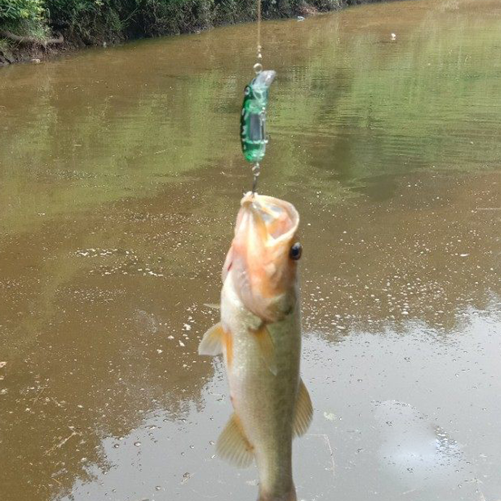 FREE FISHER 20pcs/Lot Unpainted Fishing Plugs,6cm 9g Blank Minnow Lures,DIY Nude Baits Body,Transparent Wobbler Hard Bass Baits 