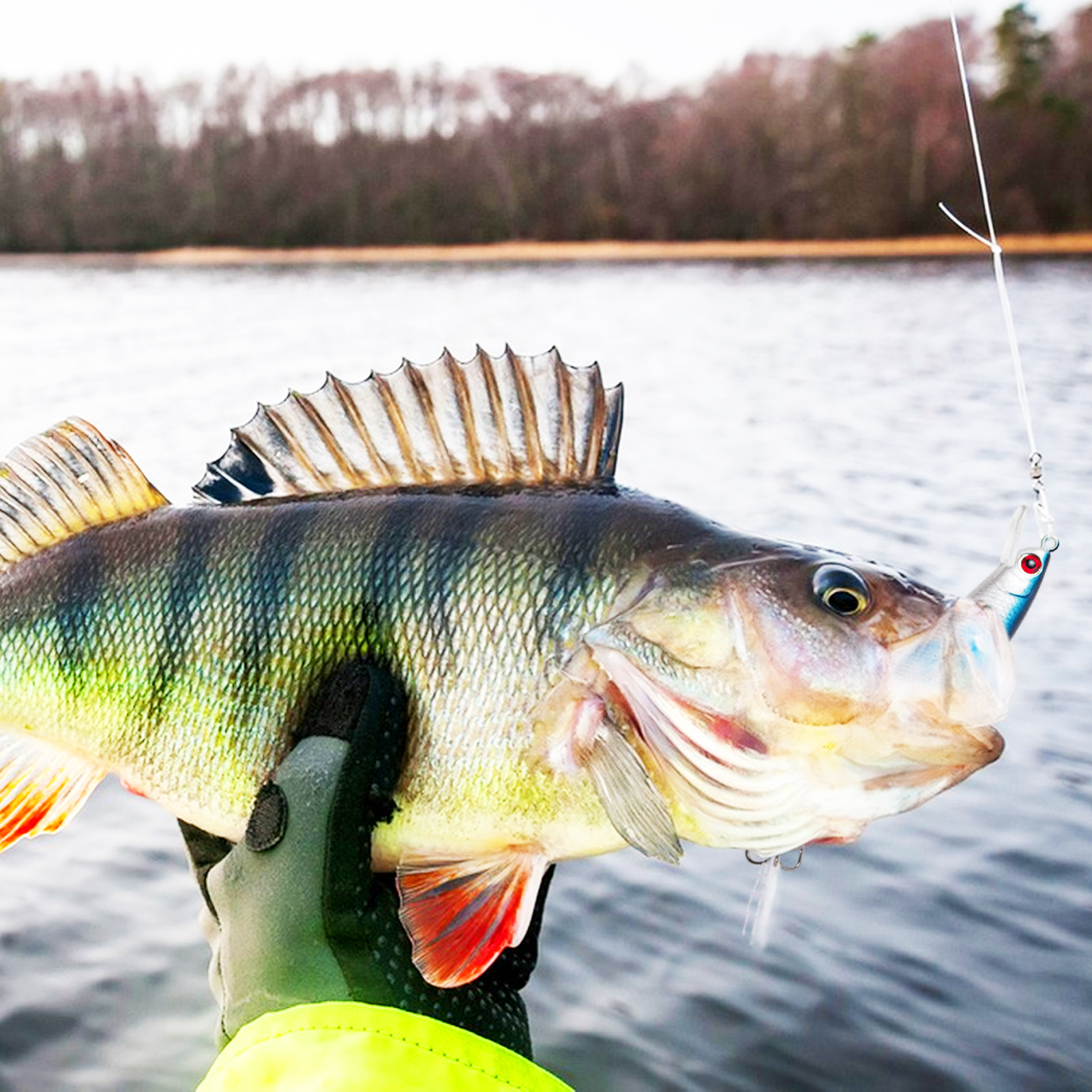 FREE FISHER Fishing Minnow Lures,10pcs/Lot Freshwater Hard Lures,Floating Fishing Swimbaits,Topwater Jerkbaits for Trout Bass