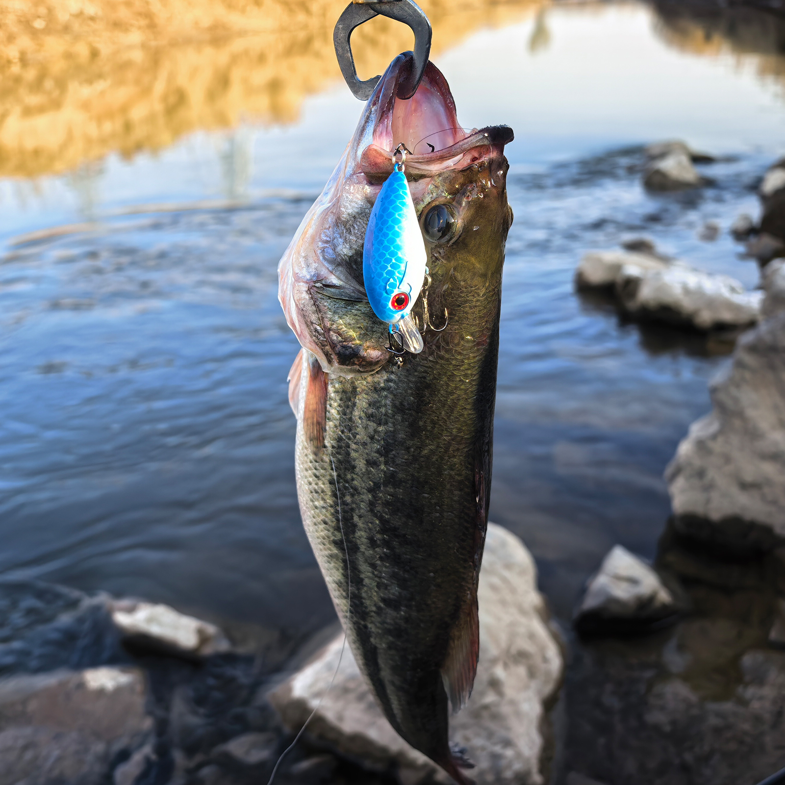 FREE FISHER 5pcs/Lot Fishing Crankbaits,Topwater Hard Lures,6.3cm 8g Swimbait,Fishing Crappie Artificial Lures for Bass Trout