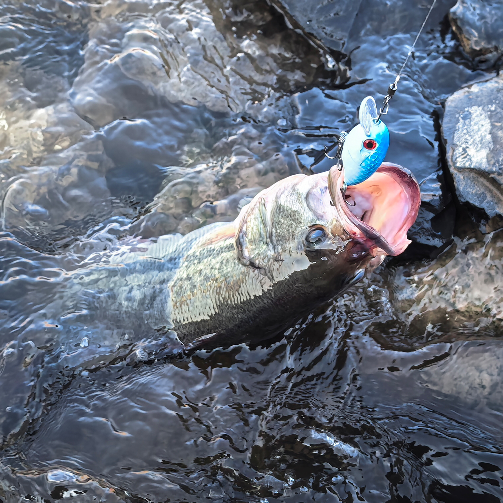 FREE FISHER 5pcs/Lot Fishing Crankbaits,Topwater Hard Lures,6.3cm 8g Swimbait,Fishing Crappie Artificial Lures for Bass Trout