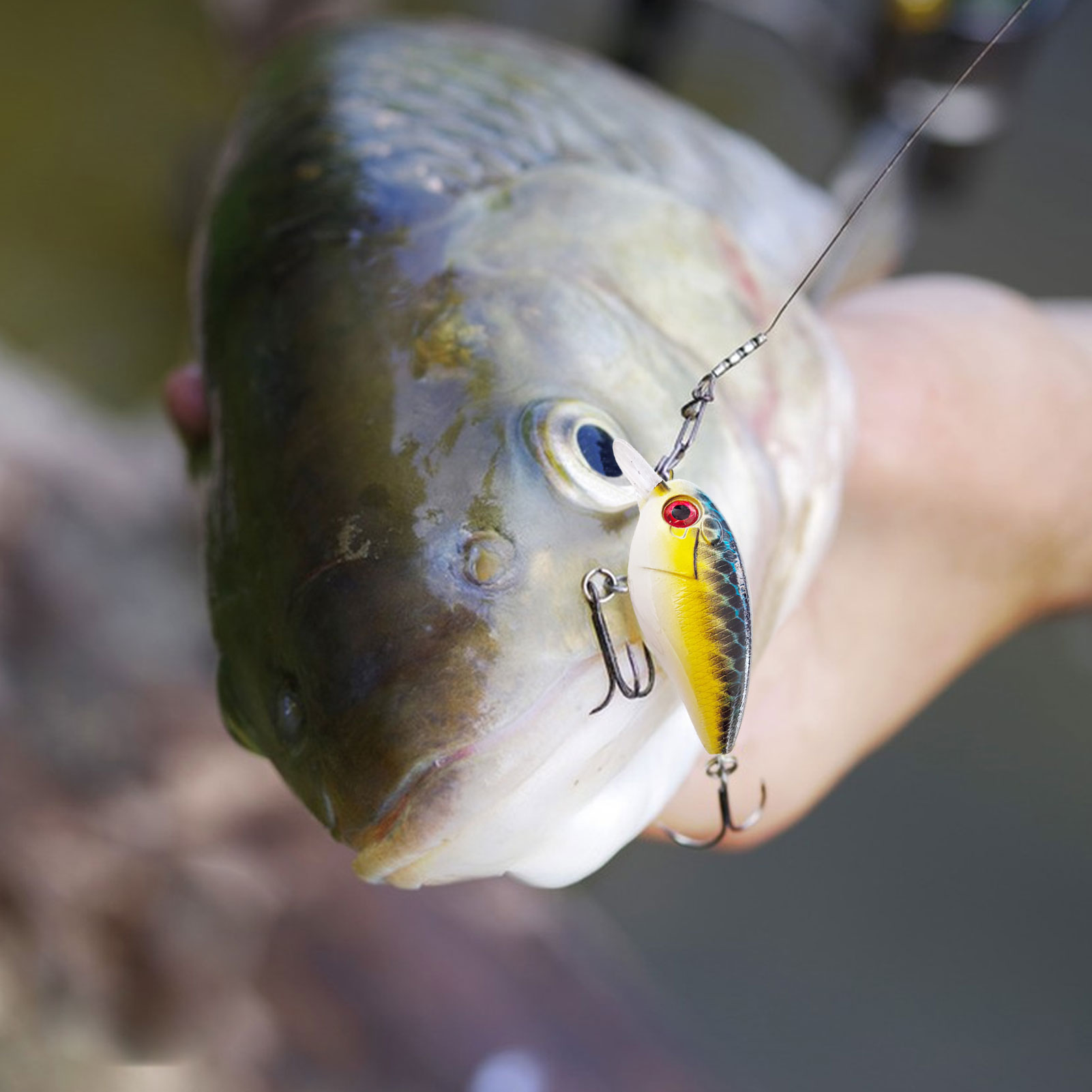 FREE FISHER 5pcs/Lot Fishing Crankbaits,Topwater Hard Lures,6.3cm 8g Swimbait,Fishing Crappie Artificial Lures for Bass Trout