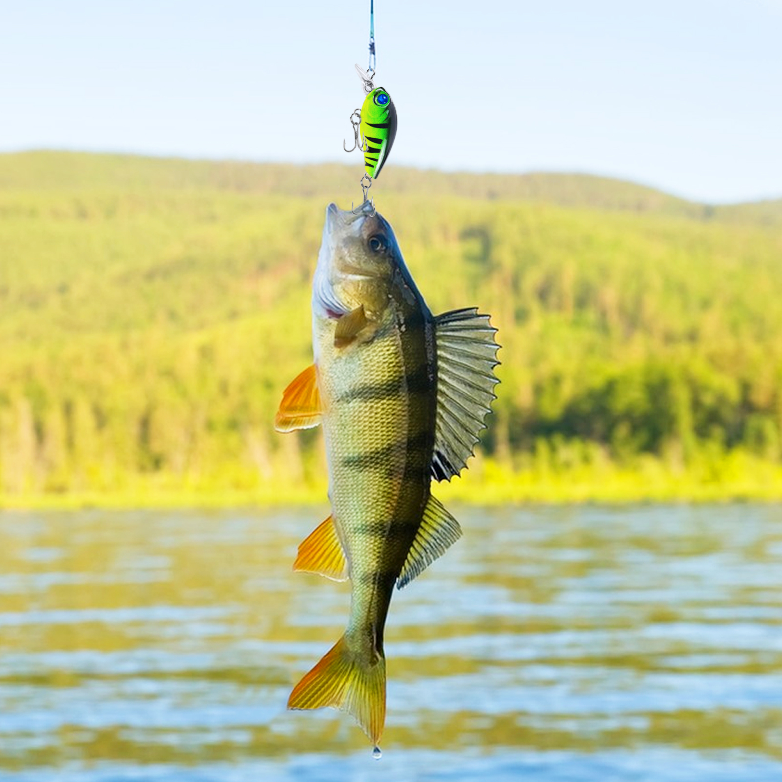 FREE FISHER Fishing Crankbaits,4.7cm/3.3g Topwater Hard Lures Kit,Micro Swimbait,Fishing Crappie Artificial Lures for Bass Trout(Pack of 10)