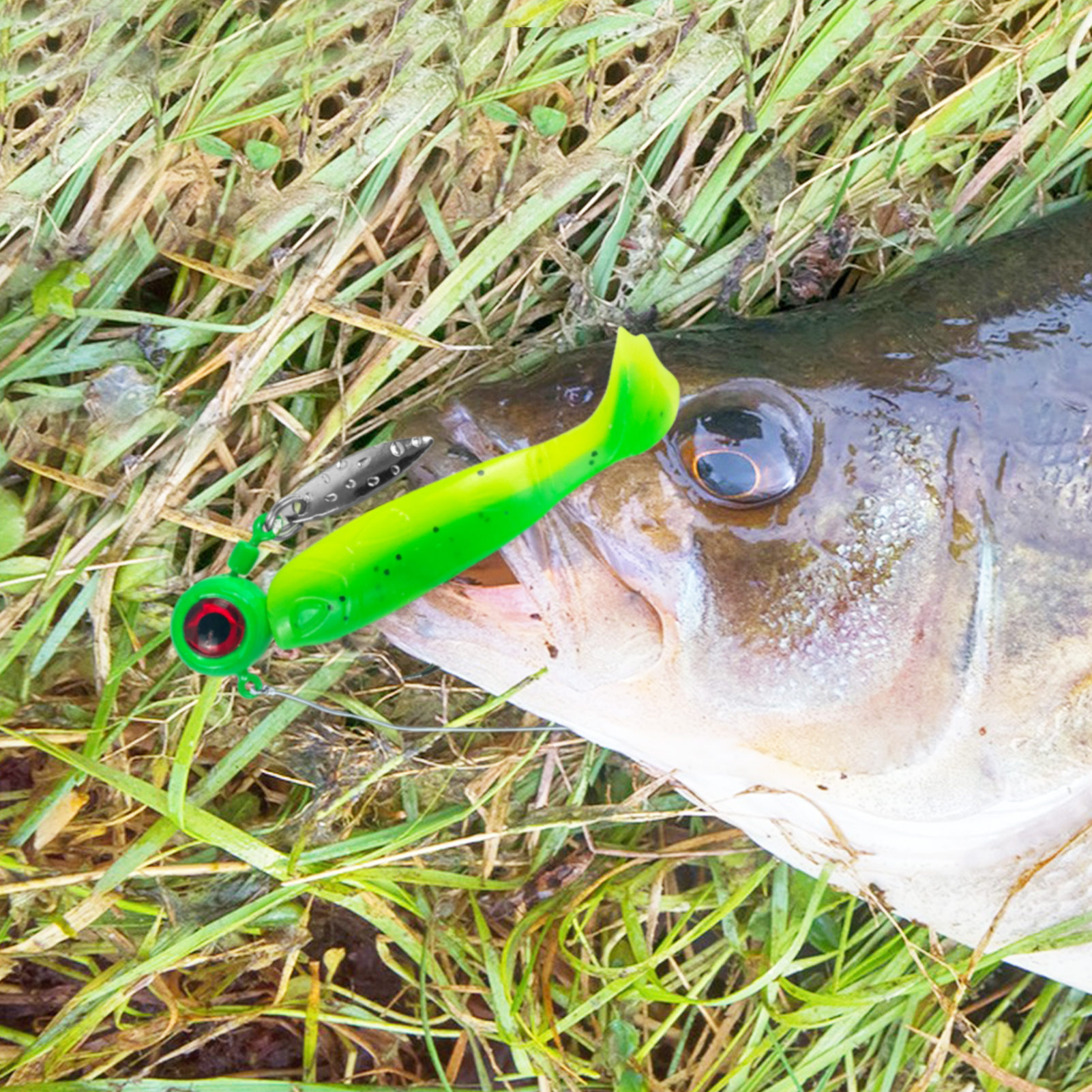 FREE FISHER Fishing Soft Lures Kit,Jig Head Hooks,81pcs/Box Double-Color Soft Worms,Grub PVC Swimbait Wobblers Artificial Baits