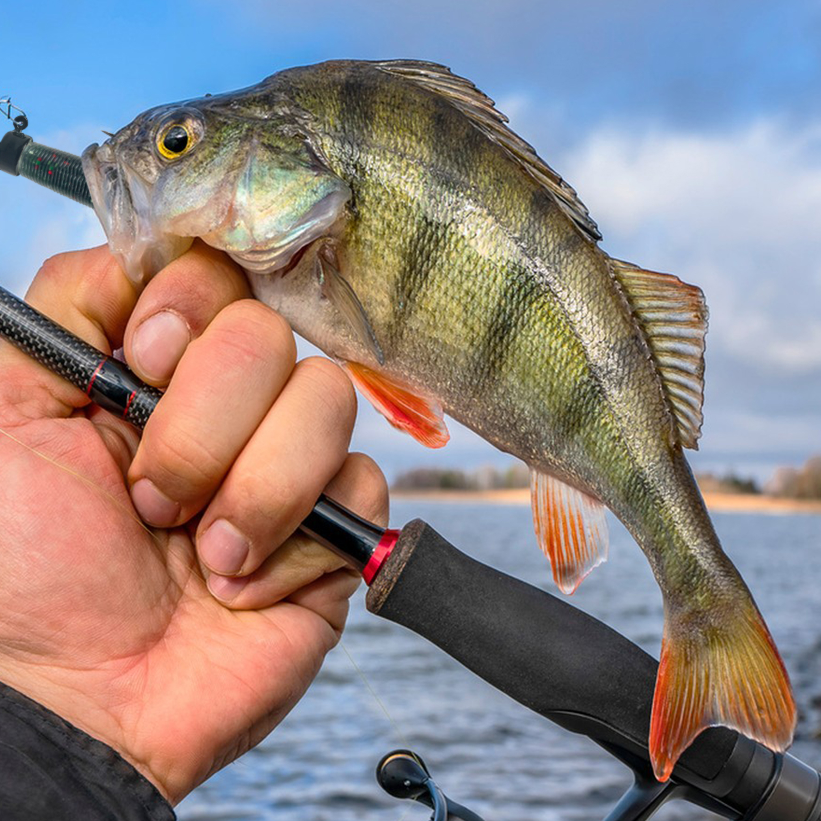 FREE FISHER 76pcs/Box Luminous Ned Rig Jig Heads TRD Worms Kit,Glow Finesse Shroom Soft Stickbaits,Mushroom Crappie Baits Set