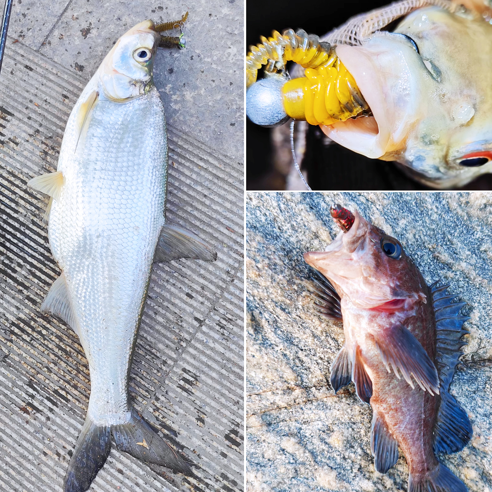 FREE FISHER Thread TPE Worms,Fishy Smell Needle Tailed Soft Insect Baits,Fishing Soft Lures,7.5cm/2g Swimbaits with Ned Hooks(Pack of 30)