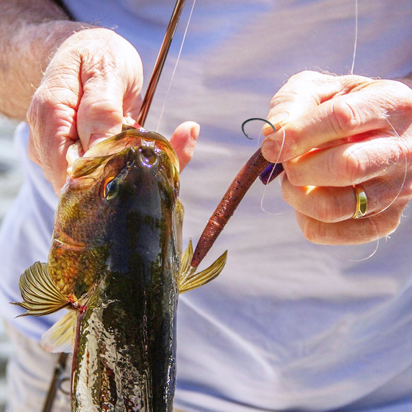 FREE FISHER 100pcs/Lot 7384 Fishing Hooks Kit,High Carbon Steel Black Sports Circle Hooks,Fishing Wrom Bait,1#-10/0# Fishhooks