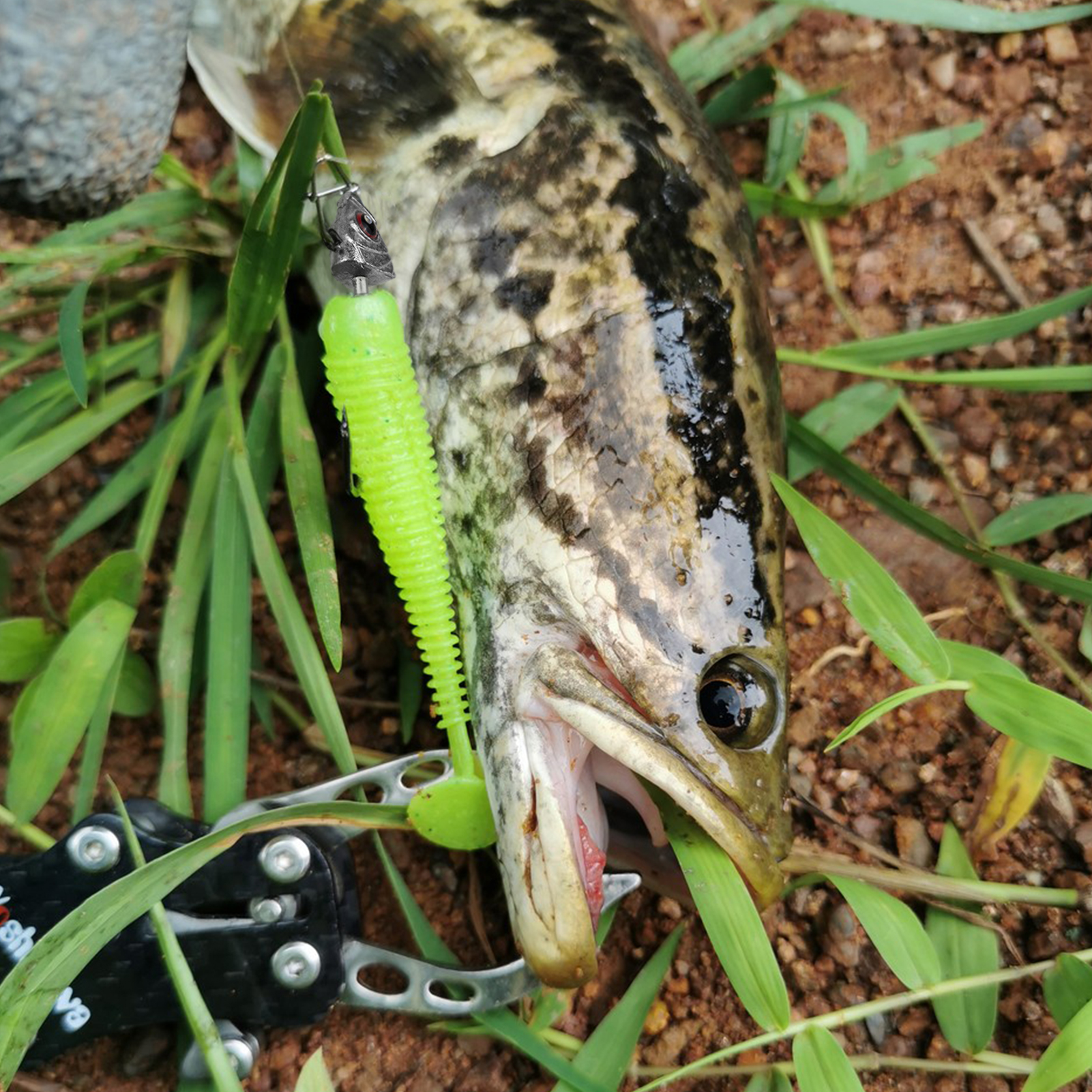 FREE FISHER 15pcs/Box Saltwater Jig Heads,5g/7g/10g/14g Mixed Fishing Weights,3D Fish Eyes  Hooks,Bait Keeper Ned Rig Jigheads 