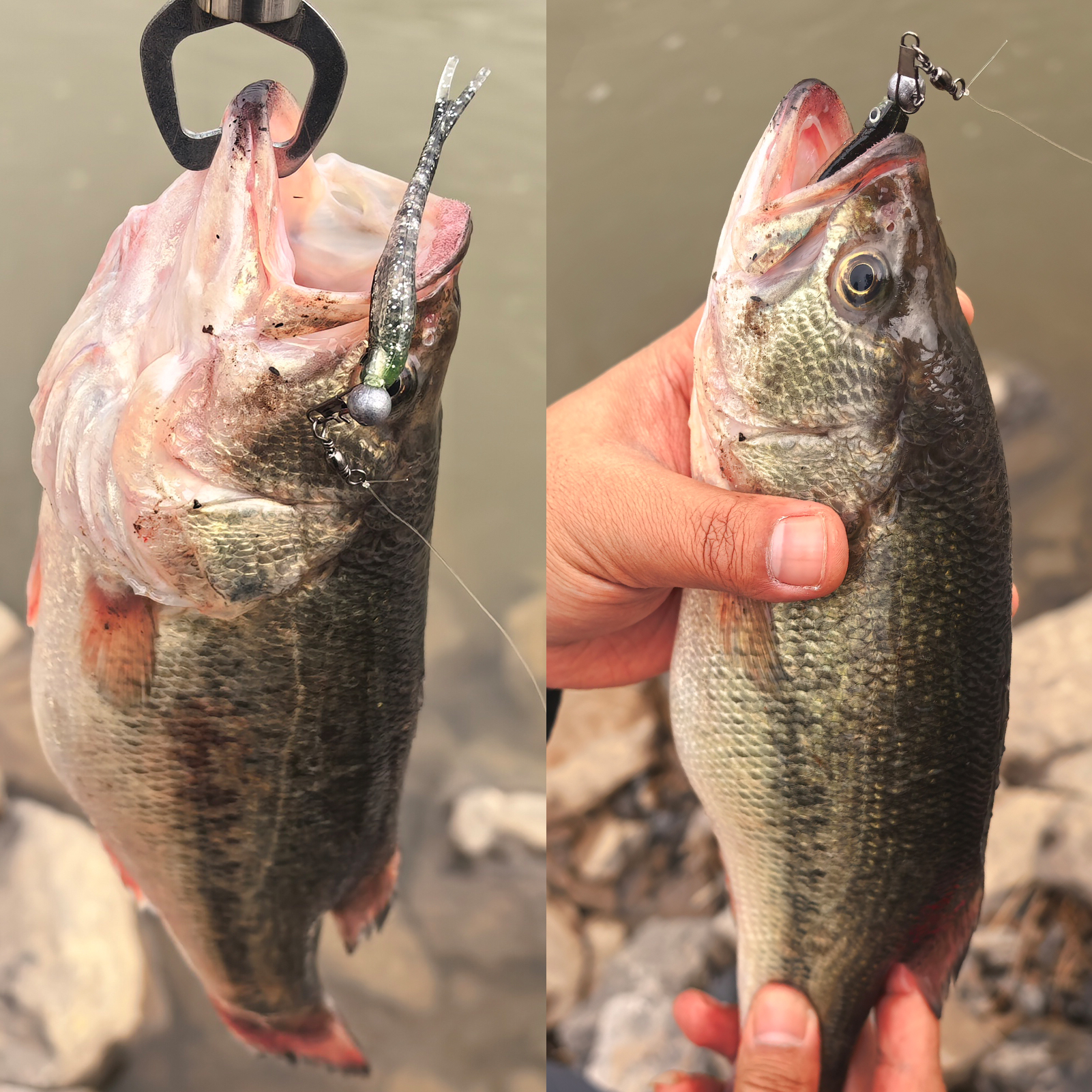 FREE FISHER 306pcs Fishing Weights Set Mixed Lead Sinkers Crank Jig Hooks Bait Lure Acceccories Swivels Snaps Beads with Multigrid Box for Freshwater/Saltwater