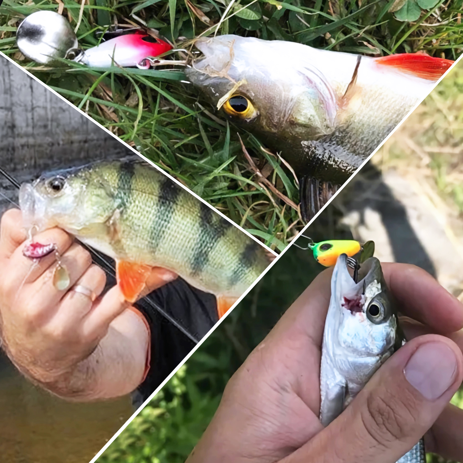 FREE FISHER 61pcs/Lot Fishing Spinners Kit Metal Sequins Spinnerbaits Spoons Accessory Walleye Rig Lure Fishing Attractor Assorted Set