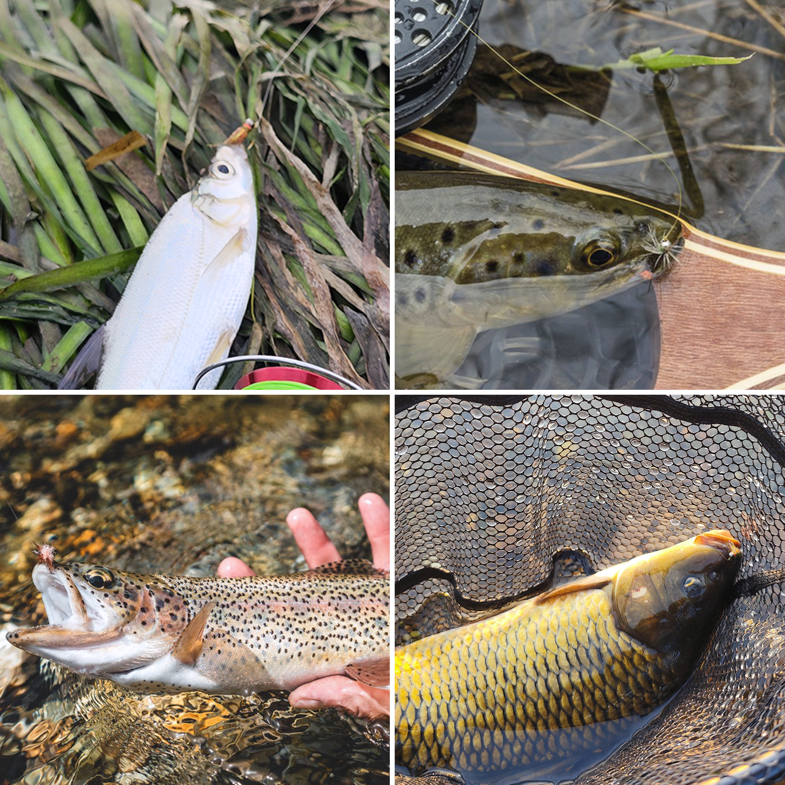 FREE FISHER Fishing Flies Set with Fly Box Squirmy Worm Nymph Flies Hooks Feather Fly Fishing Baits Tungsten Head Sharp Fishhook for Freshwater