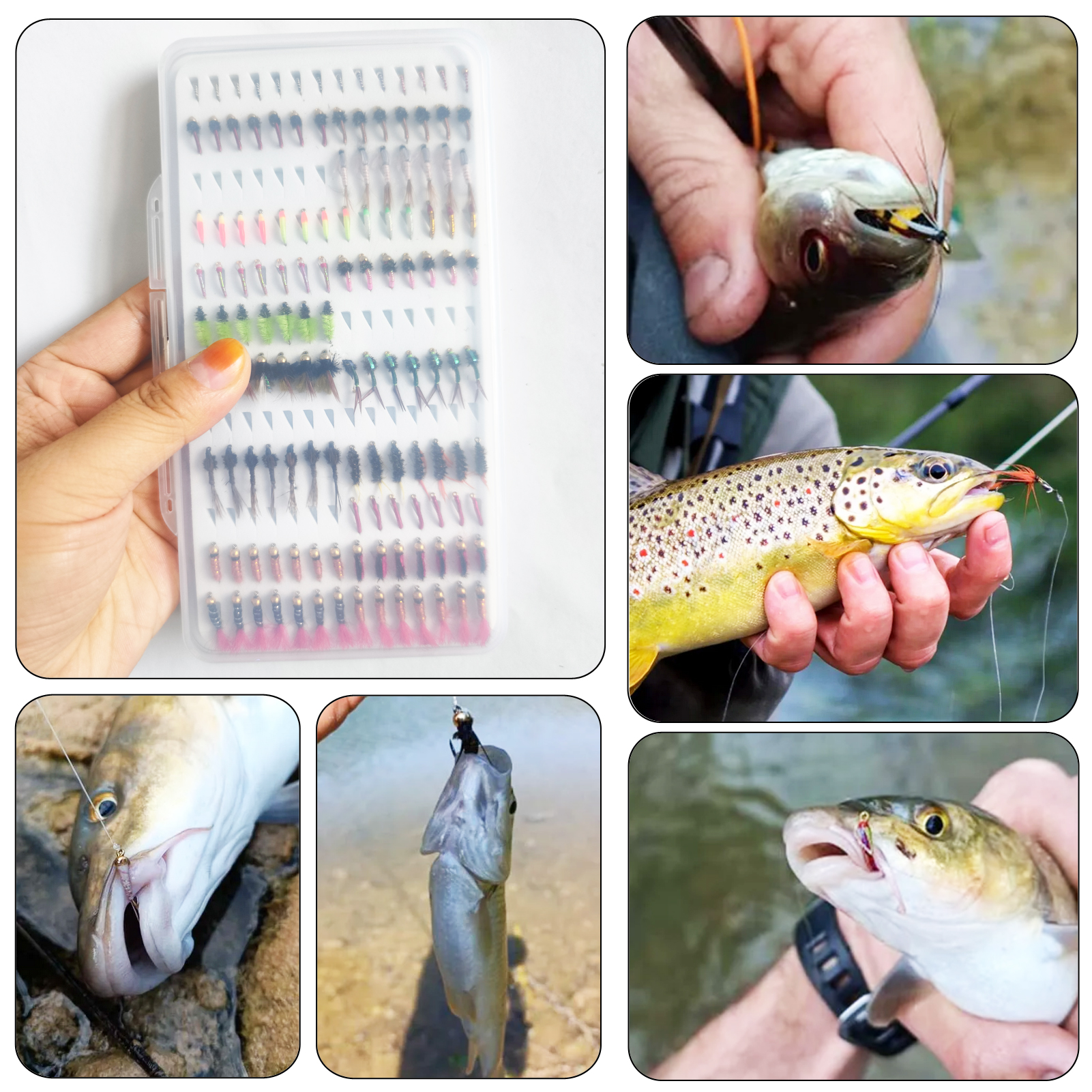 FREE FISHER Fishing Flies Lure Kit,133pcs/Box Fly Fishing Baits,Mixed Nymph Midge Dry Flies,Artificial Fish Baits for Freshwater