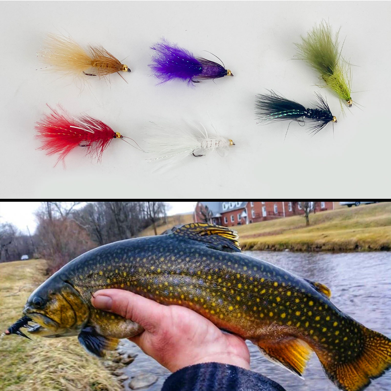 FREE FISHER Fishing Flies Lure Kit,Fly Fishing Feather Baits,Mixed Nymph  Wet/Dry Flies,Streamers Artificial Baits Fly Hooks Box