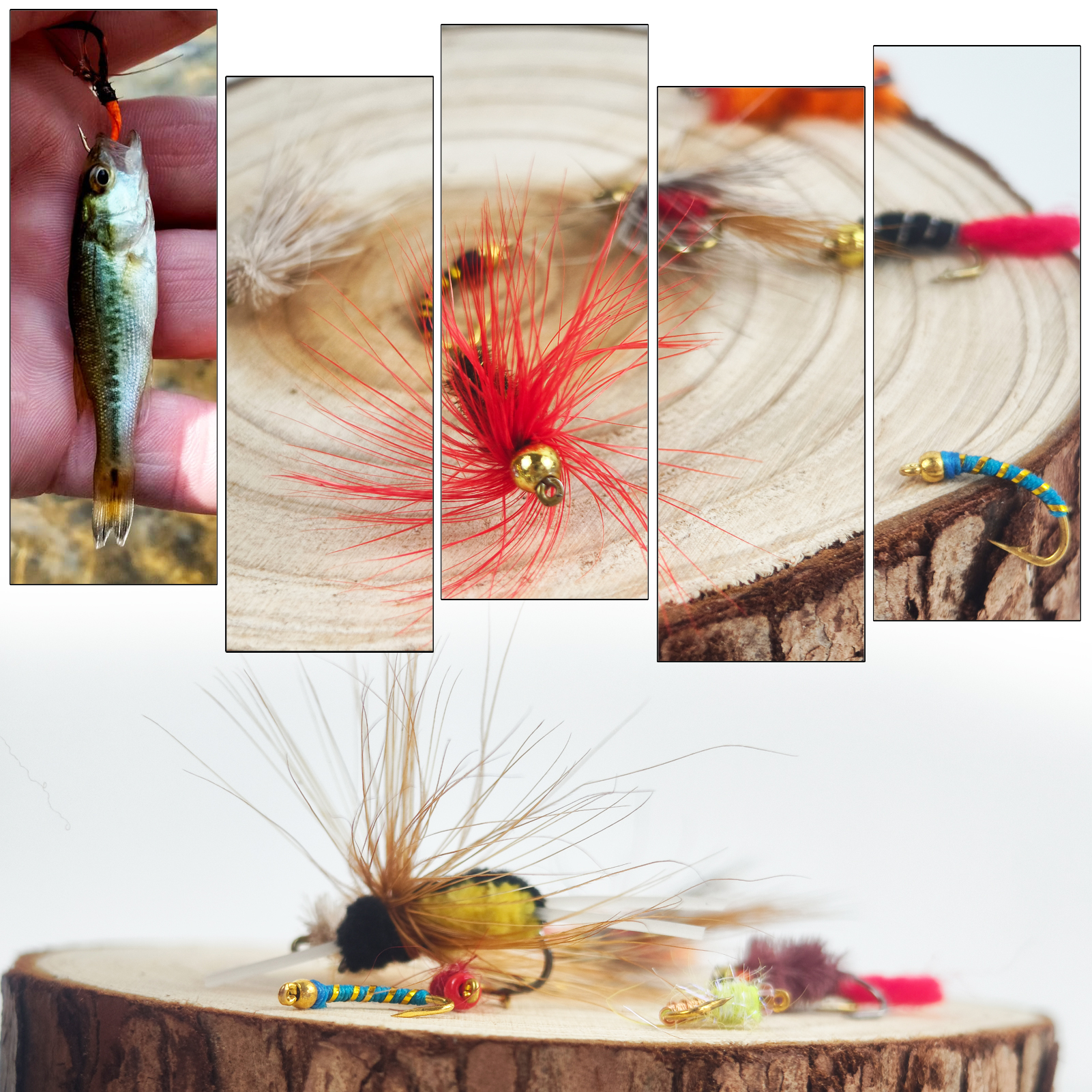 FREE FISHER Dry Wet Flies Kit,96pcs/Box Scud Nymph Caddis Zebra Midge Fly Caddis Sedge,Fly Fishing Baits,Fishing Fly Box,Fly Hook Lure for Trout