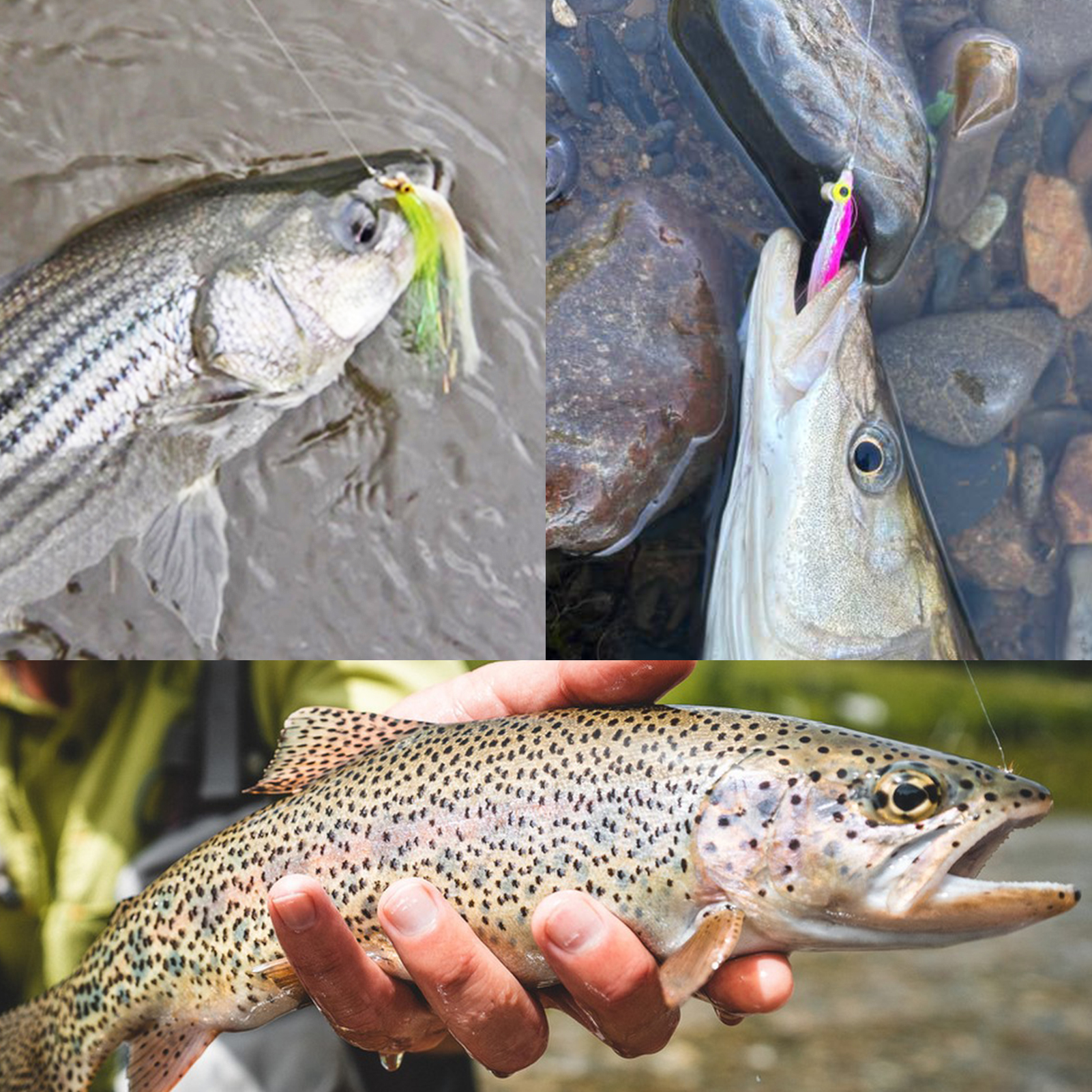 FREE FISHER 6pcs/Box Skinny Clouser Minnow Fishing Flies,Fly Fishing Hook 2# 4# 1/0# 2/0# Streamer Fly Baits for Bass Trout Pike 