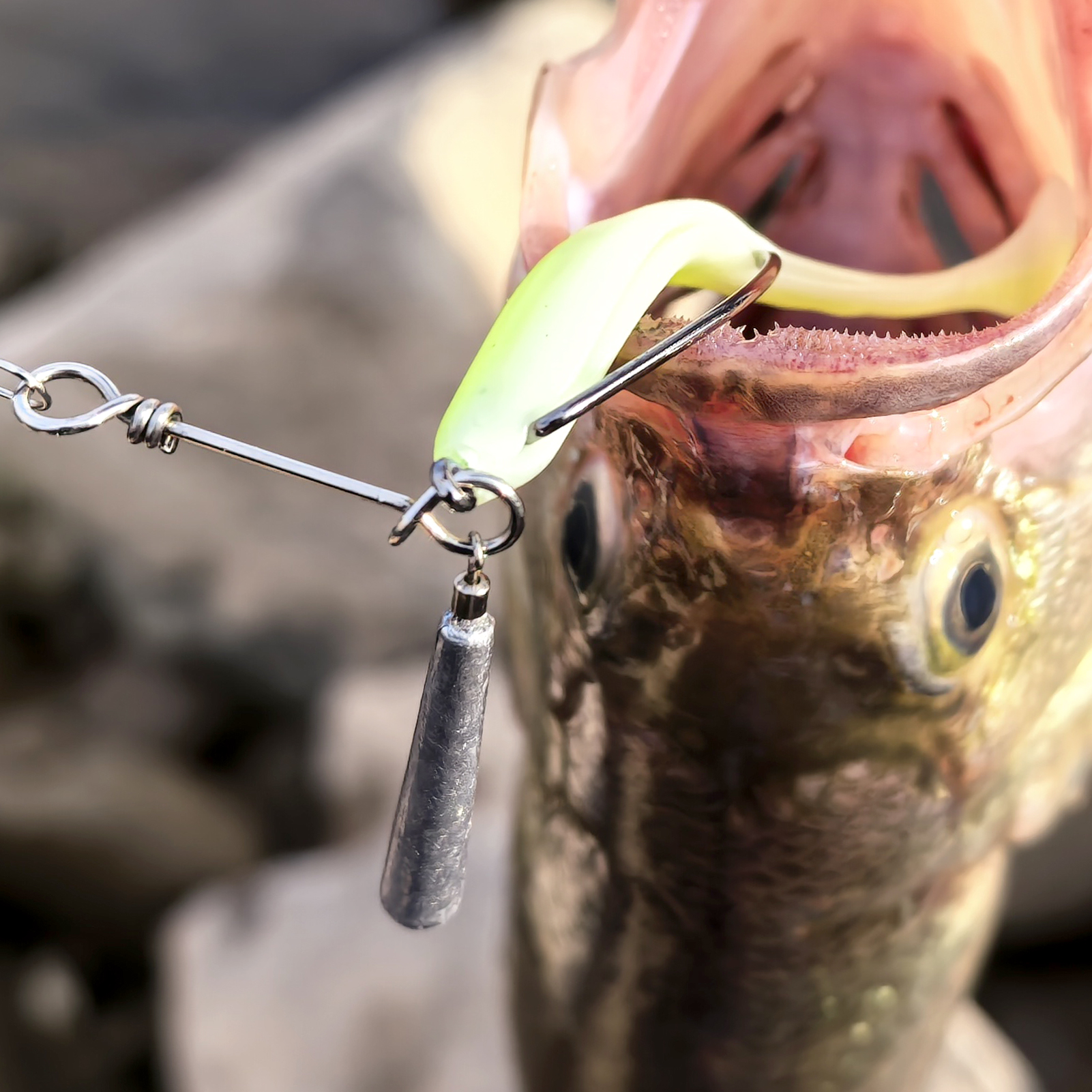 FREE FISHER 12pcs/Lot Jig Head Fishing Weights Hooks,3.5g/5g/7g/10g Worm Crank Hook,Drop Shot Rigs,Fishing Balance Lead Sinker Kit