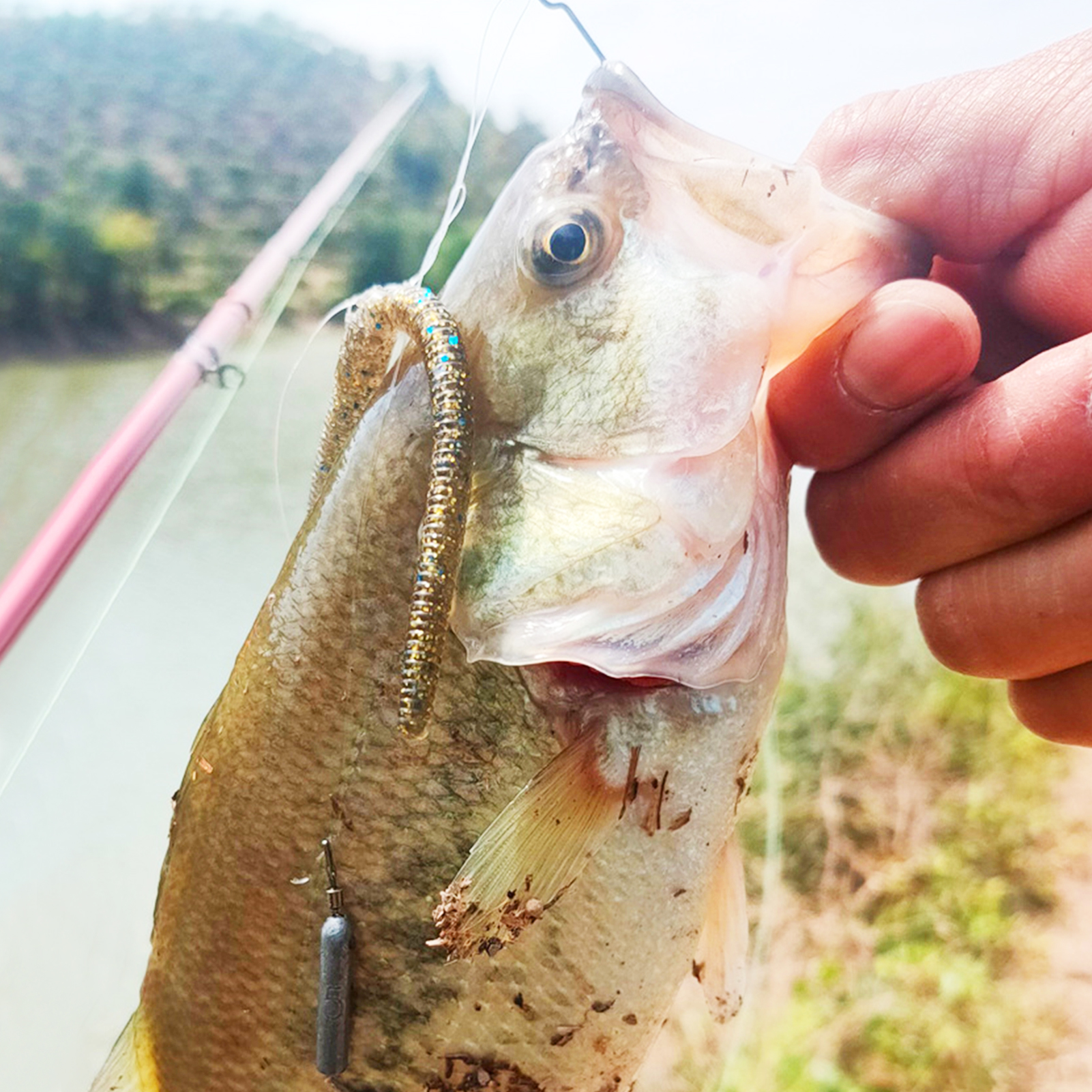 FREE FISHER Bass Fishing Kit,158pcs/Lot Fishing Lures Set with Box,Soft Worms Hard Baits,Mixed Swimbait,Sinkers Snap Accessories