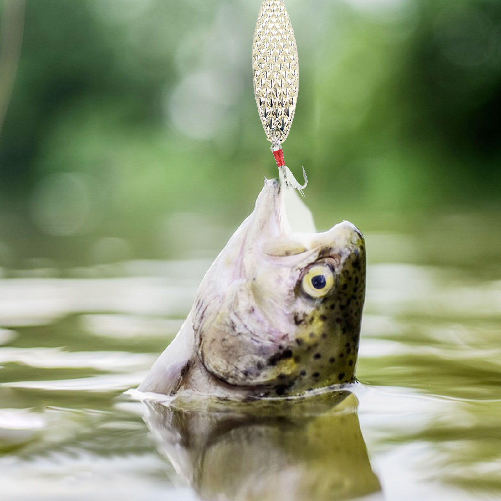 FREE FISHER Fishing Artificial VIB Lures,Spoons Metal Jigs Bait,5-20g MIxed Size Fish Lures with Treble Hook for Trout Pike Bass(Pack of 10)