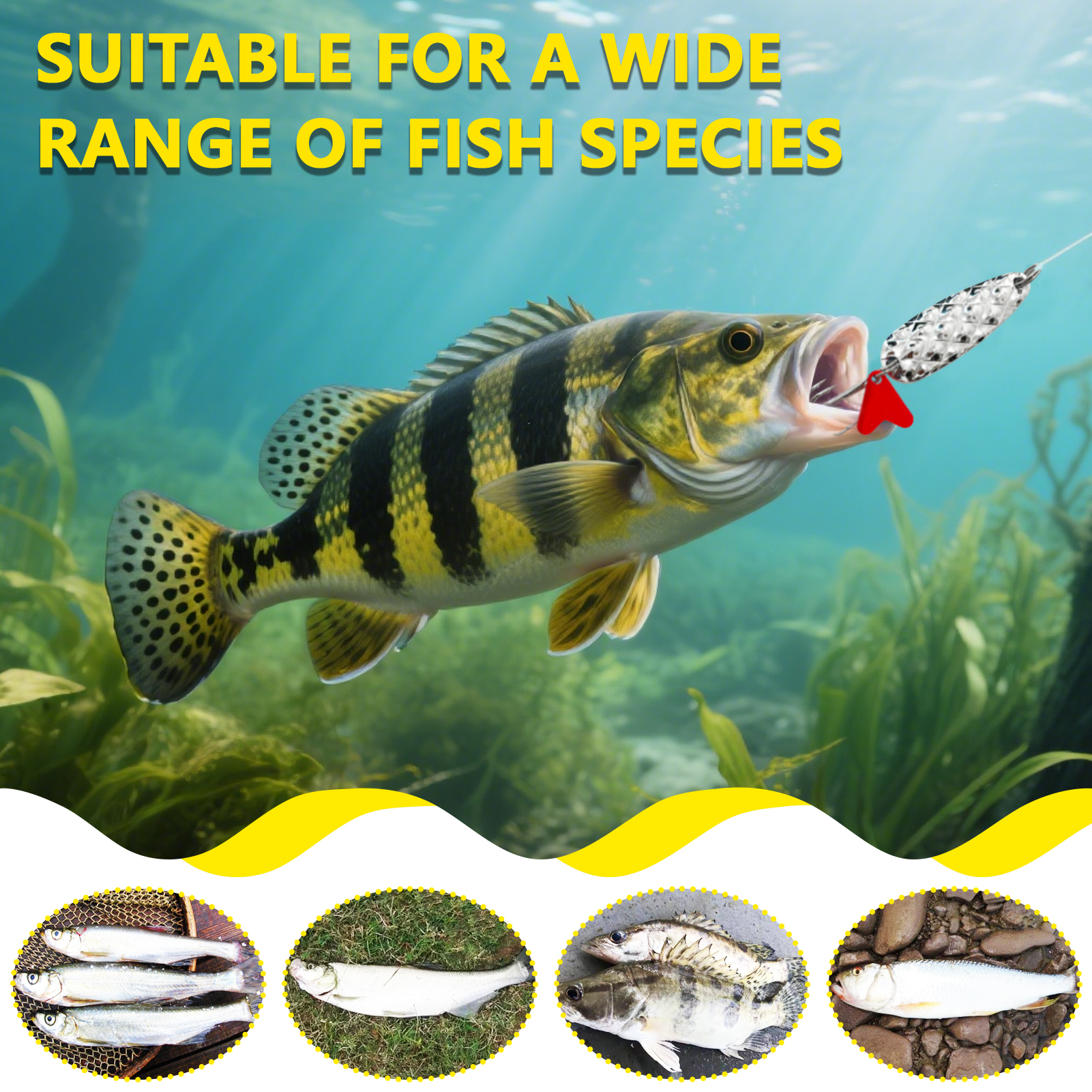 FREE FISHER 76pcs/Box Metal Sequins Fishing Spoon Lures Accessories,Spinner Blades Baits,DIY Fishing Rigs,Making Lures Supplies for Freshwater/Saltwater