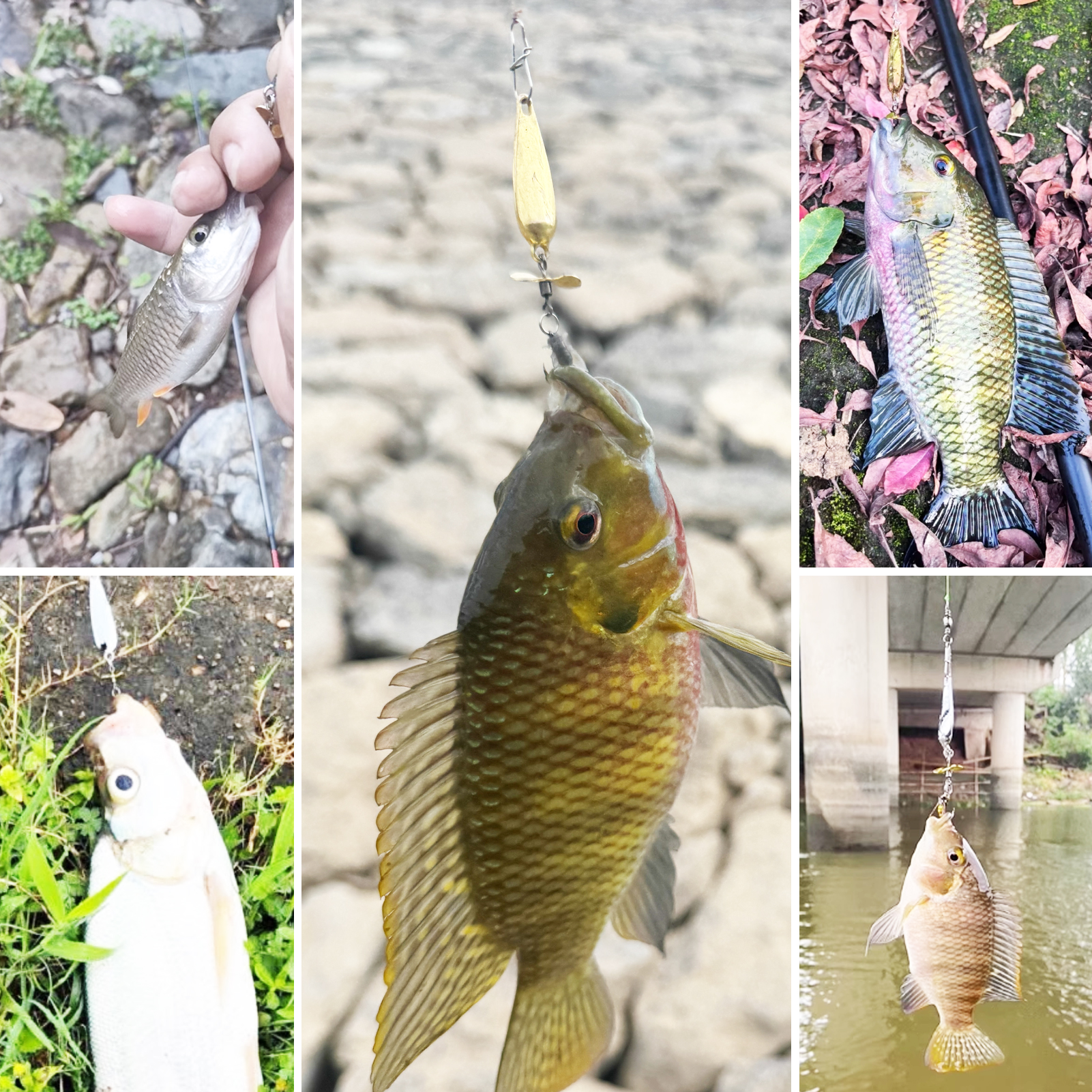 FREE FISHER Fishing Composite Spoon Baits,15pcs/Box Metal Bladed Spinnerbaits,Casting Rotation Spoons Soft Flies Spinner Lures