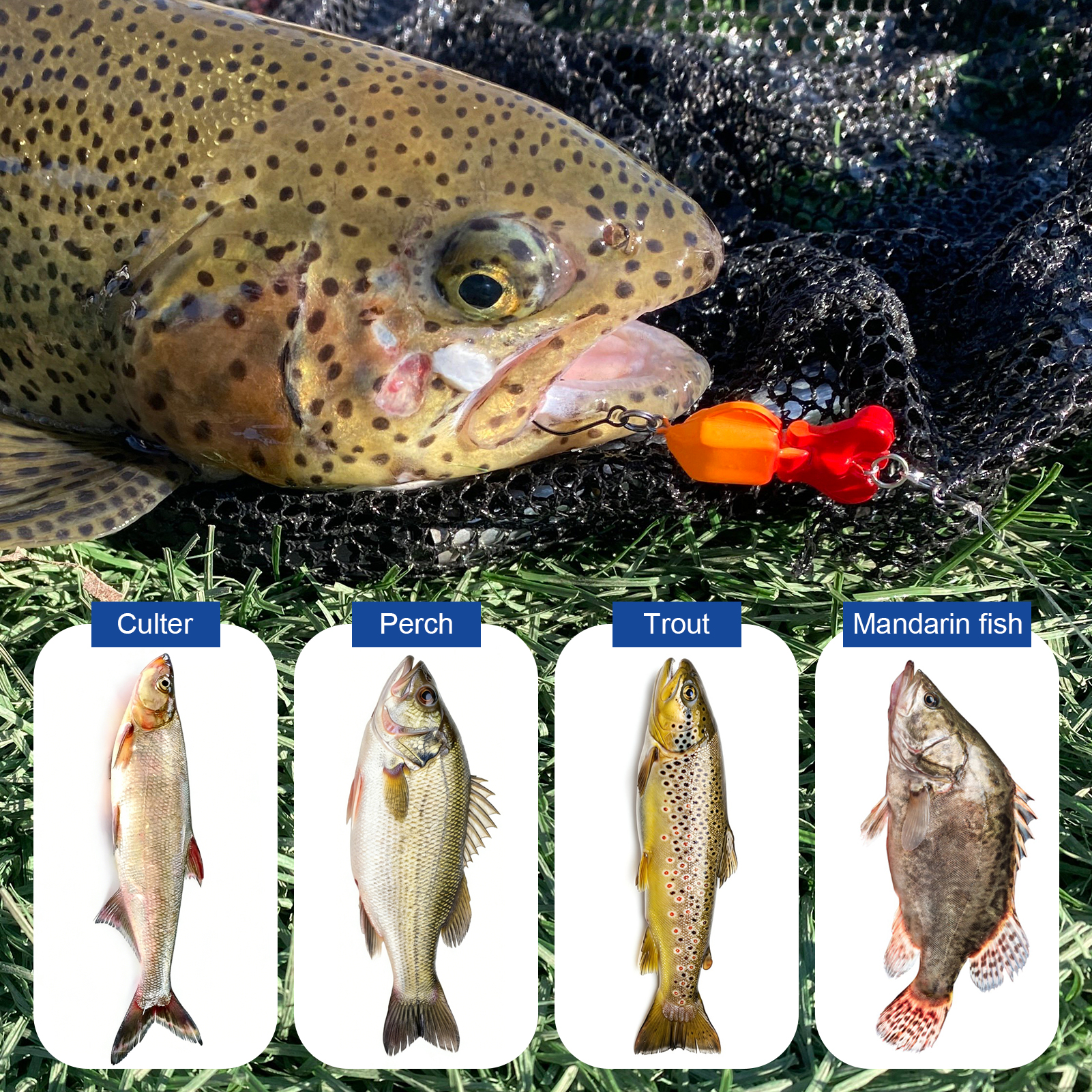 FREE FISHER 5pcs Micro Fishing Swimbaits,Multi-Segment Artificial Bait,2.9cm 2g 2-Section Mini Jointed Lure for Bass Trout Perch  ﻿ 