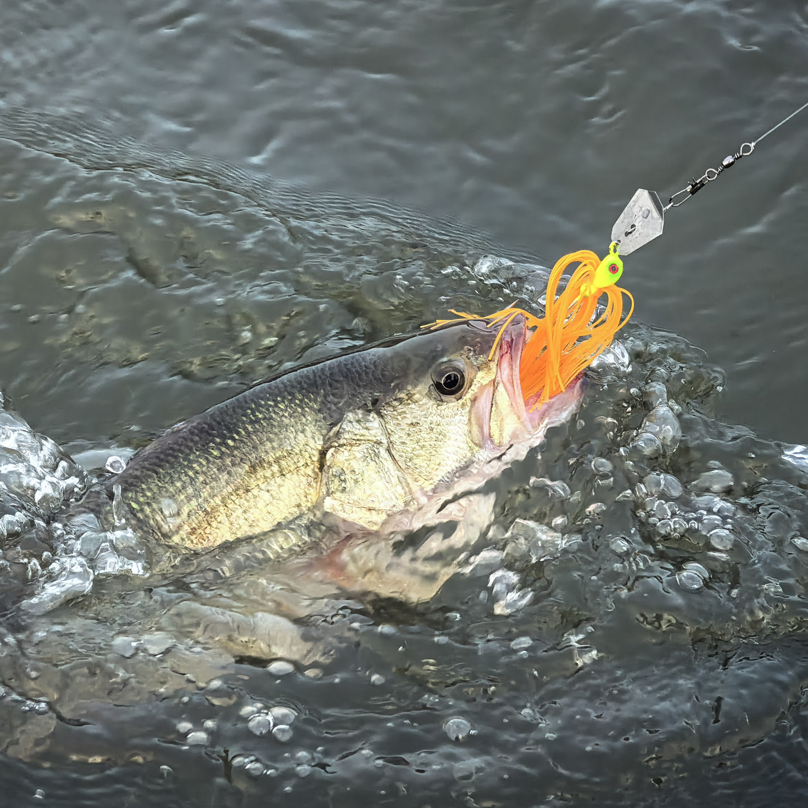 FREE FISHER Fishing Buzzbaits,Crankhook Bladed Spinnerbaits,Jig Head Hook with Rubber Skirts,Chatterbaits Lures for Bass/Pike(Pack of 5)