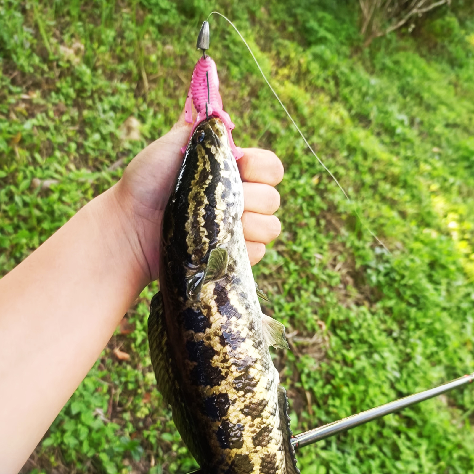 FREE FISHER Fish Soft Lures,8cm 4.8g Bobby Fatty Craw,Wooly Bug Creature Baits,Trolling Fishing Crawfish Wobbles Grub Shrimps(Pack of 60)