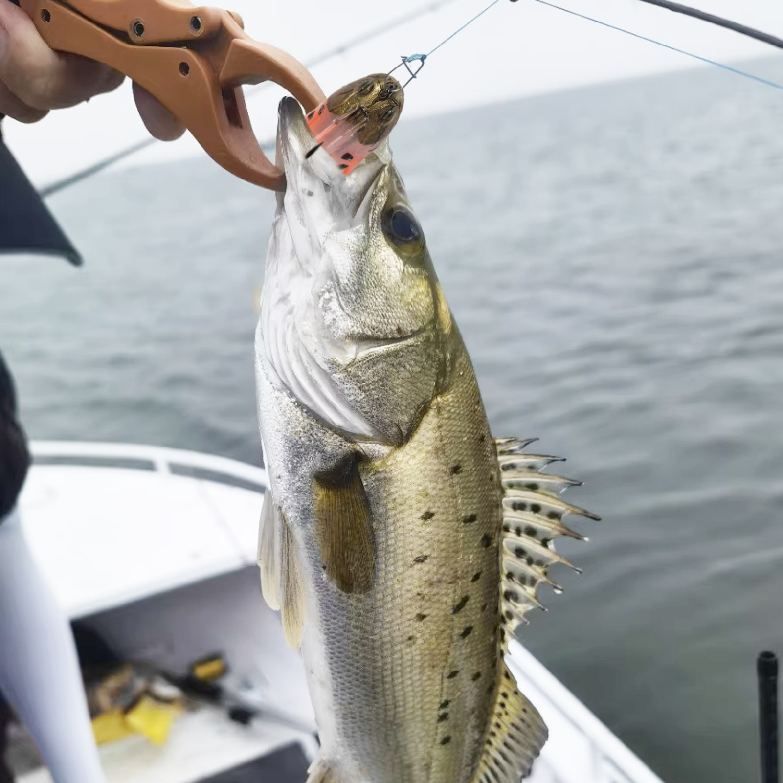 FREE FISHER 6pcs/Lot Weedless Soft Fishing Lures,5.5cm 10g/8cm 20g Pre-Rigged Paddle Tail Swimbaits,Jig Head Bait for Bass Trout Walleye