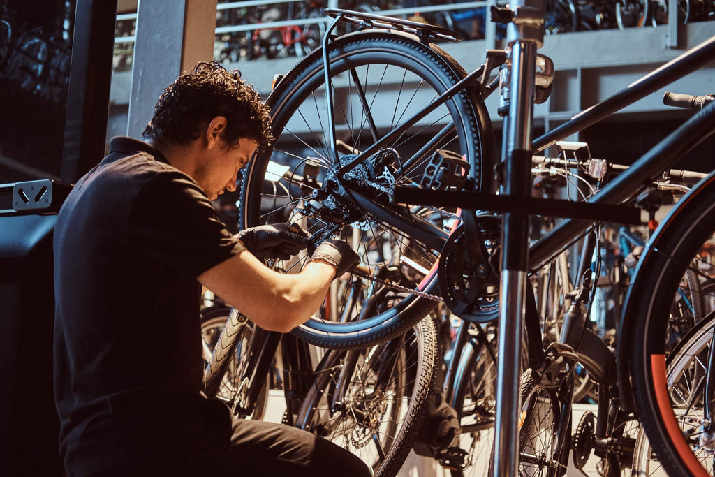 examining ebike