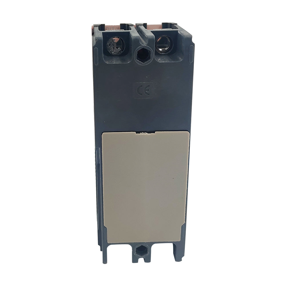 NEW EZC100H2100 Circuit breaker EasyPact EZC100H TMD 100A 2p 2d