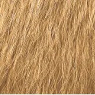 Instant Hair Density Concealer