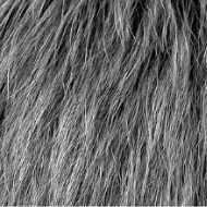 Instant Hair Density Concealer