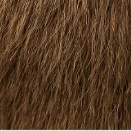 Instant Hair Density Concealer