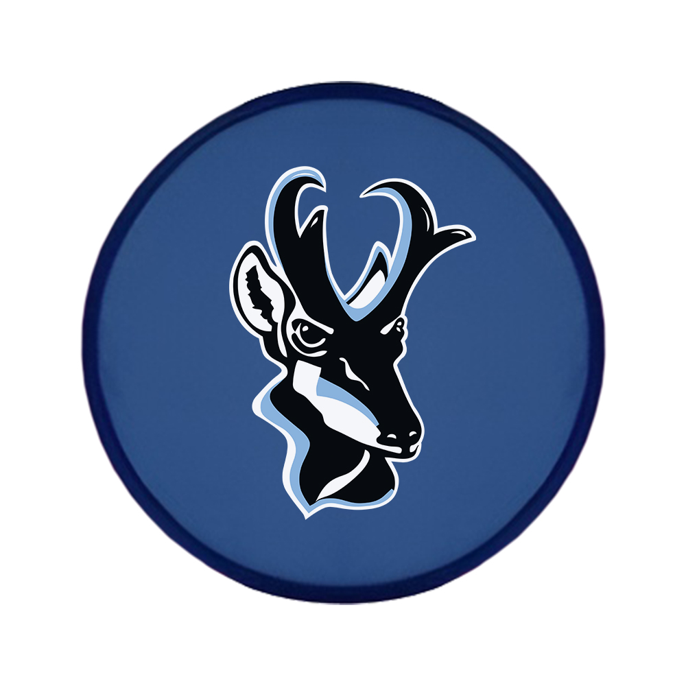 Custom Flip-Out Flyer Fan | Foldable Flying Disc Fan with Logo for Events & Promotions