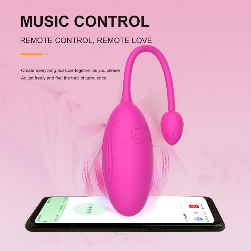 Bullet Vibrator with Remote Control G-Spot Stimulation, Wireless Vibrating Egg, Vibrating Wearable Love Ball, Medical Silicone Clitoral Massager Female Sex Toy Y109