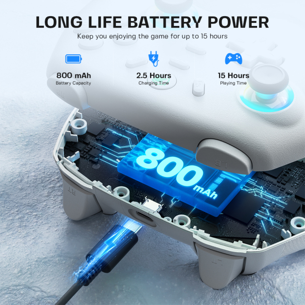 ECHTPower Wireless Pro Switch PC Controller Vibration Joystick 800mAh Battery Black&white