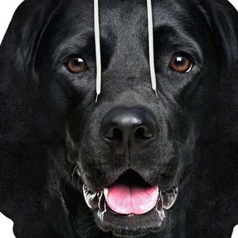 Men's Dog Graphic Prints Hoodie Sweatshirt Hoodie Long Sleeve Hooded Sweatshirt Hooded Sportswear 3D Print Casual Daily Sports 1 2 Print Front Pocket Spring &  Fall Designer