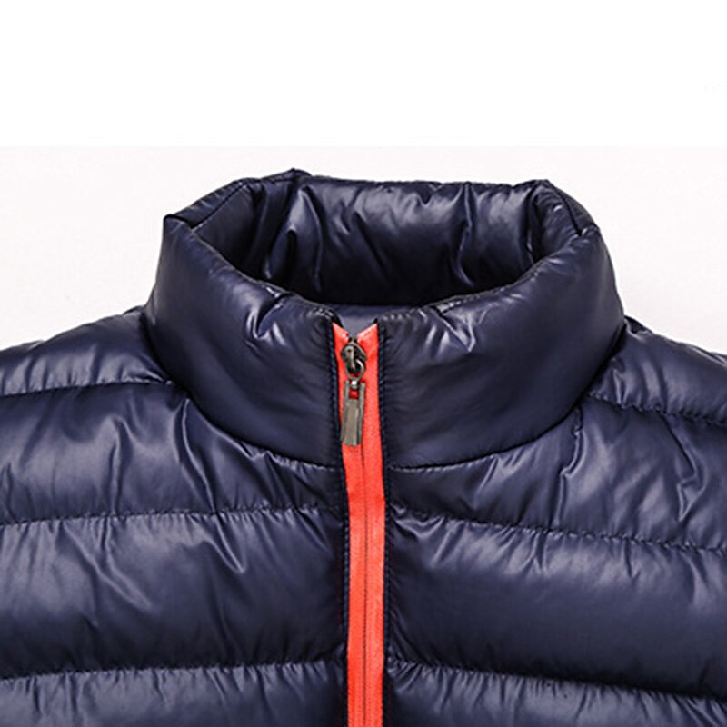 Men's Winter Quilted Zipper Pocket Hiking Windproof Warm Outdoor Quilted Solid / Plain Color Puffer Jacket