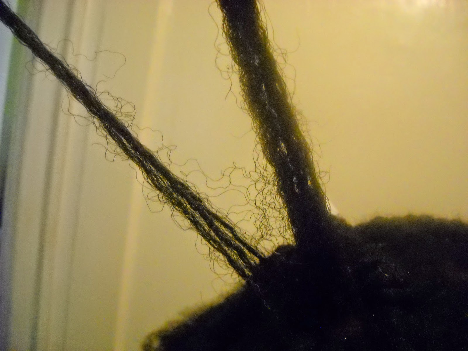 what-is-hair-webbing