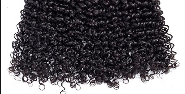 virgin human hair wigs